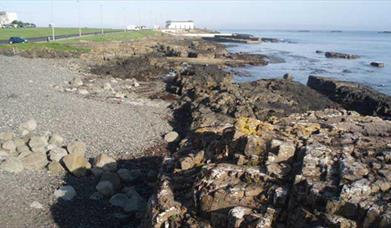 Portrush Nature Reserve