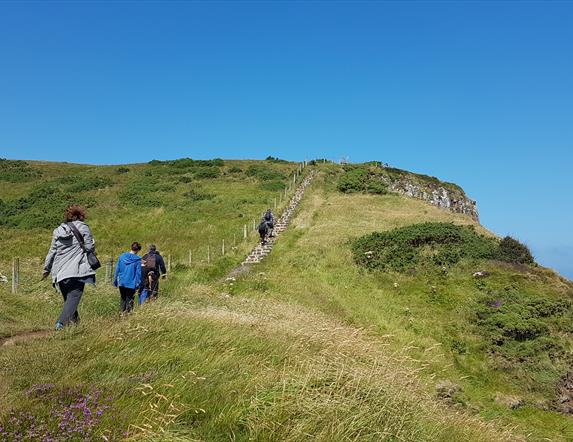 A group of walkers travelling along the coastal path, with green grass, shrubs and the sea visible below in the distance