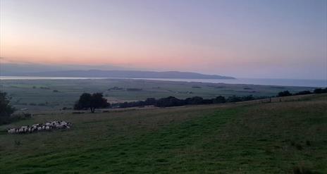 view over Lough Foyle and Donegal from Binevenagh at sunset. There is a herd of sheep in a field.