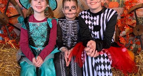 Children in fancy dress enjoying a Halloween themed photoshoot