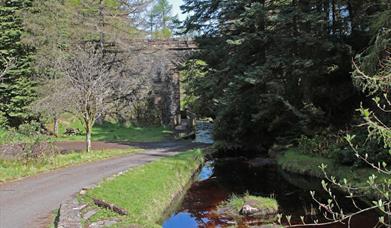 section of trail which passes under a stone bridge in Ballypatrick Forest