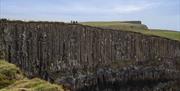 A new perspective on the causeway cliff path with Away A Wee Walk experience A new perspective on the causeway cliff path with Away A Wee Walk experience