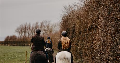 Two girls (one on a black horse and one on a white horse) making their way along a country track