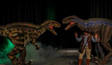 Image shows two dinosaurs and a man holding up his hands