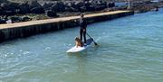 A paddleboarder and their dog on the water