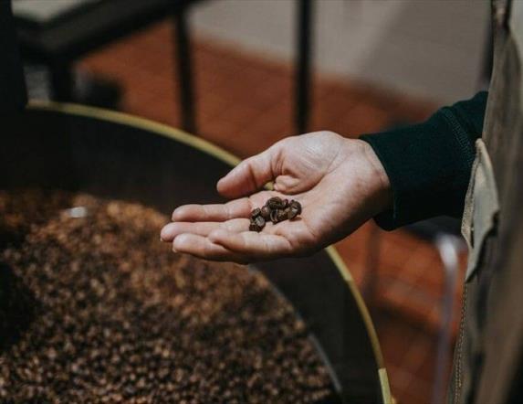 A mans hand holding some roasted coffee beans