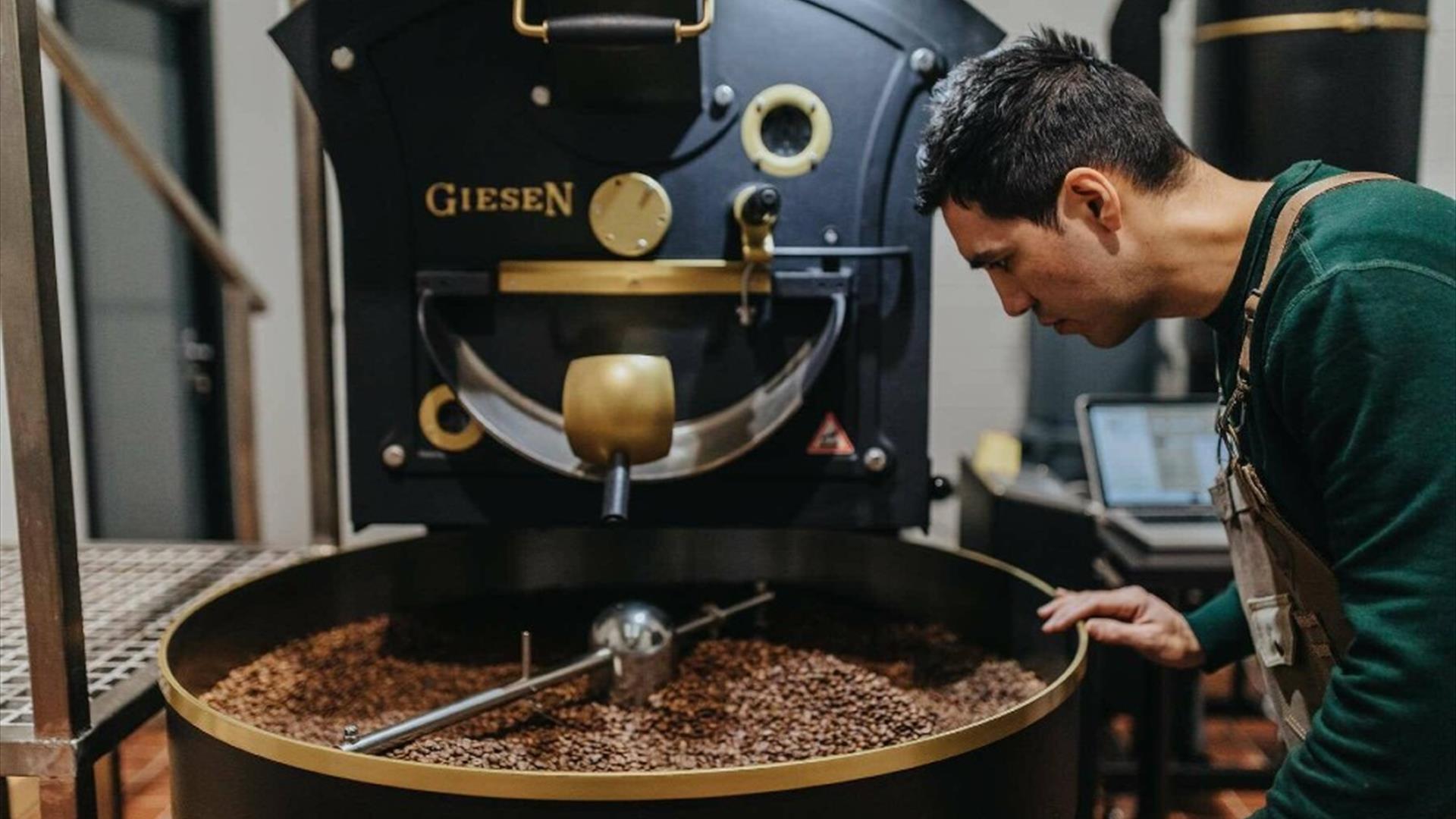 Man looking into the vat of roasted coffee beans