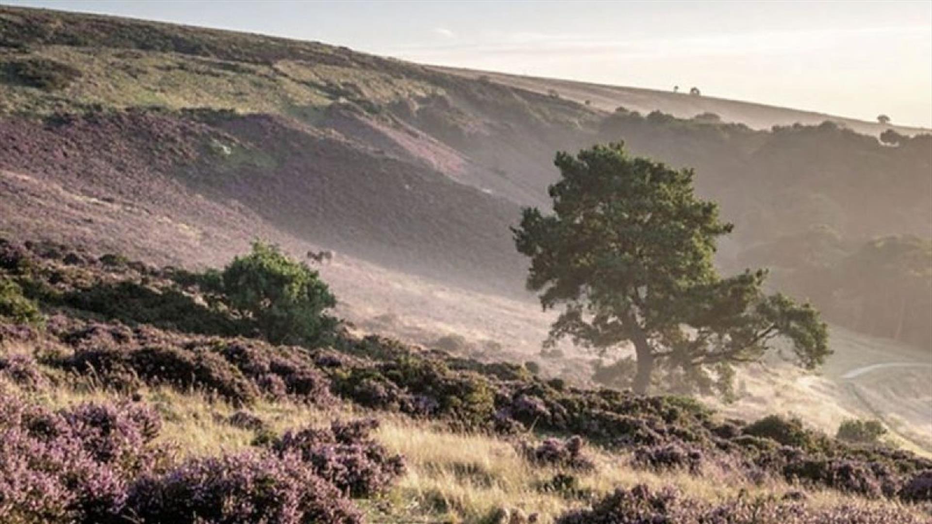 a wild open landscape a wild open landscape