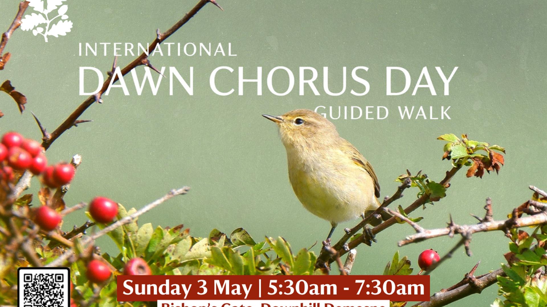 A promotional poster for the International Dawn Chorus Day Guided Walk from Bishop's Gate at Downhill Demesne, featuring a small songbird perched on a A promotional poster for the International Dawn Chorus Day Guided Walk from Bishop's Gate at Downhill Demesne, featuring a small songbird perched on a