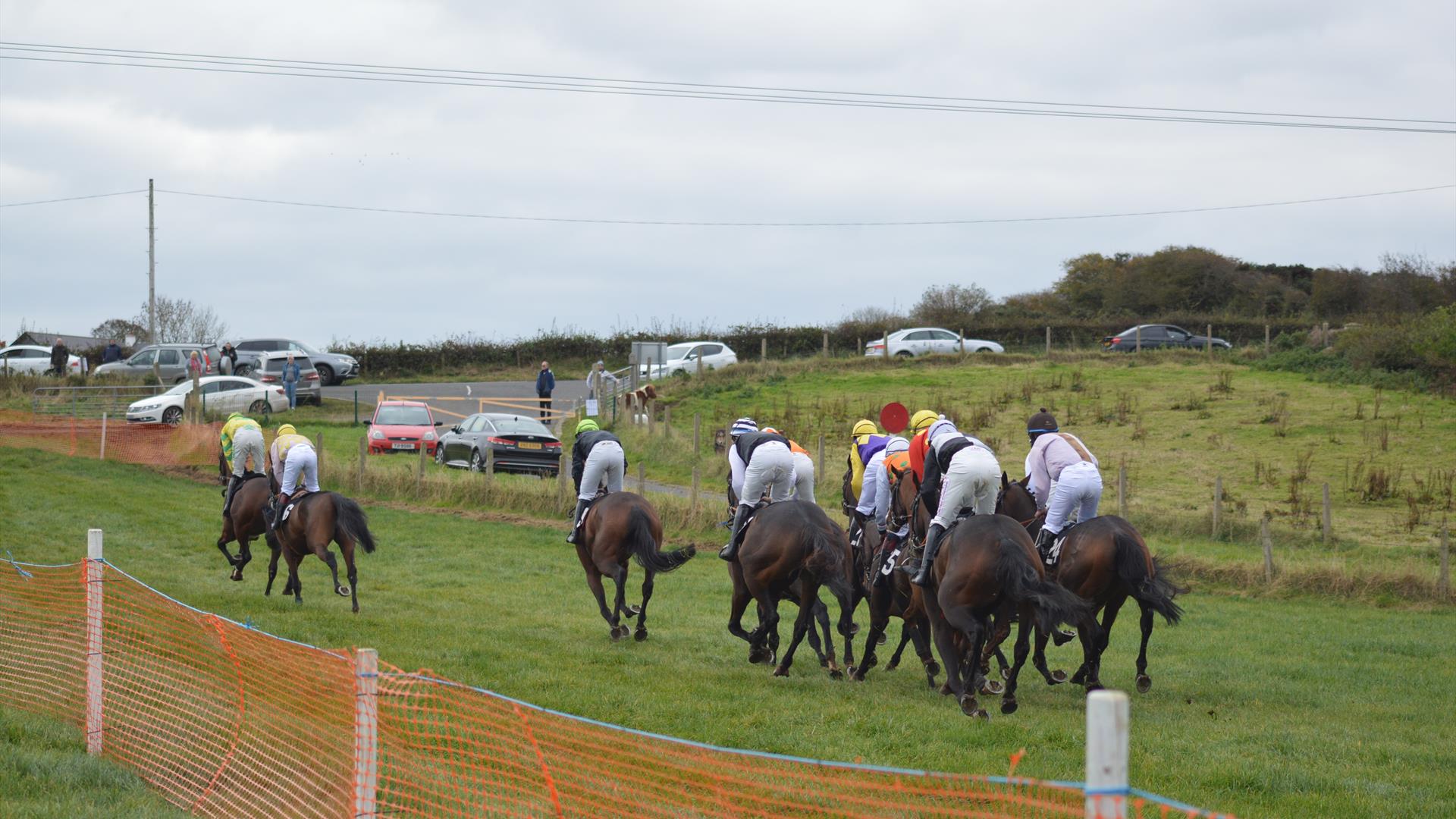 Group of  racehorses and jockeys with parked cars on roadside in background
