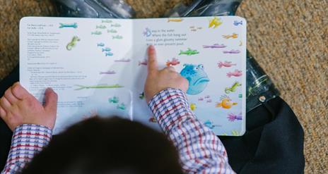 Birds eye view of a child reading a book about fish, with images of brightly coloured fish on the pages.