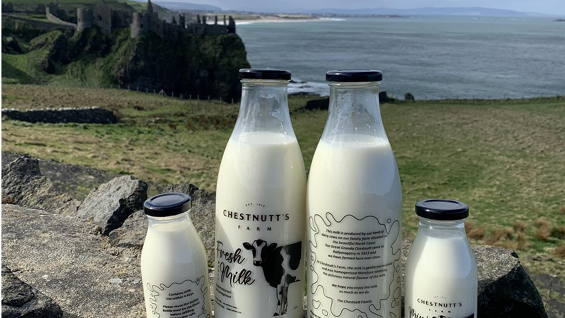 bottles of milk are lined up on a stone wall, branded with Chestnutt's Farm. Dunluce Castle and the ocean can be seen in the background bottles of milk are lined up on a stone wall, branded with Chestnutt's Farm. Dunluce Castle and the ocean can be seen in the background