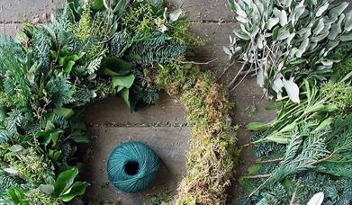 Making a Christmas Wreath with secateurs and green wire 