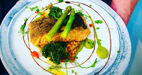 Colorful round plate of salmon on a bed of vegetables