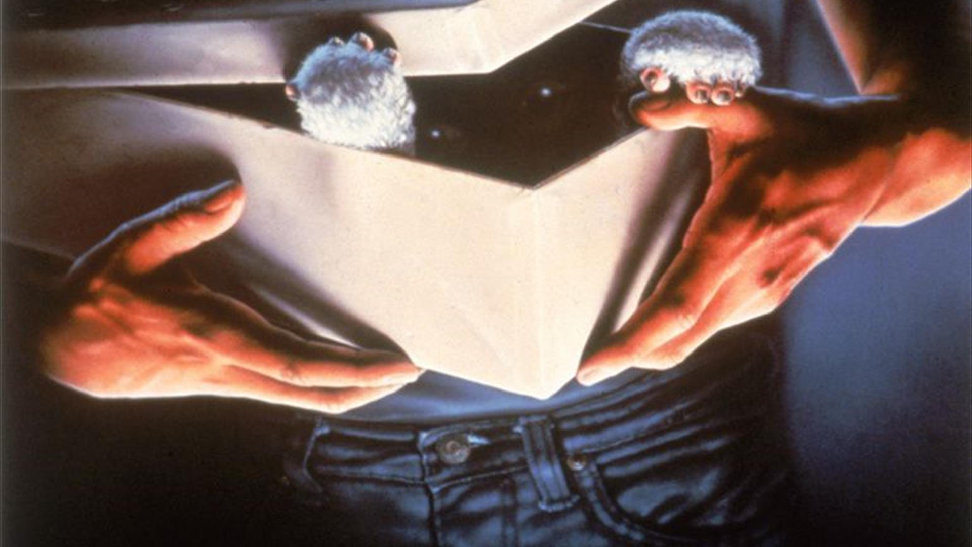 movie poster for Gremlins, featuring a fluffy creature attempting to escape from a box that a man is holding movie poster for Gremlins, featuring a fluffy creature attempting to escape from a box that a man is holding