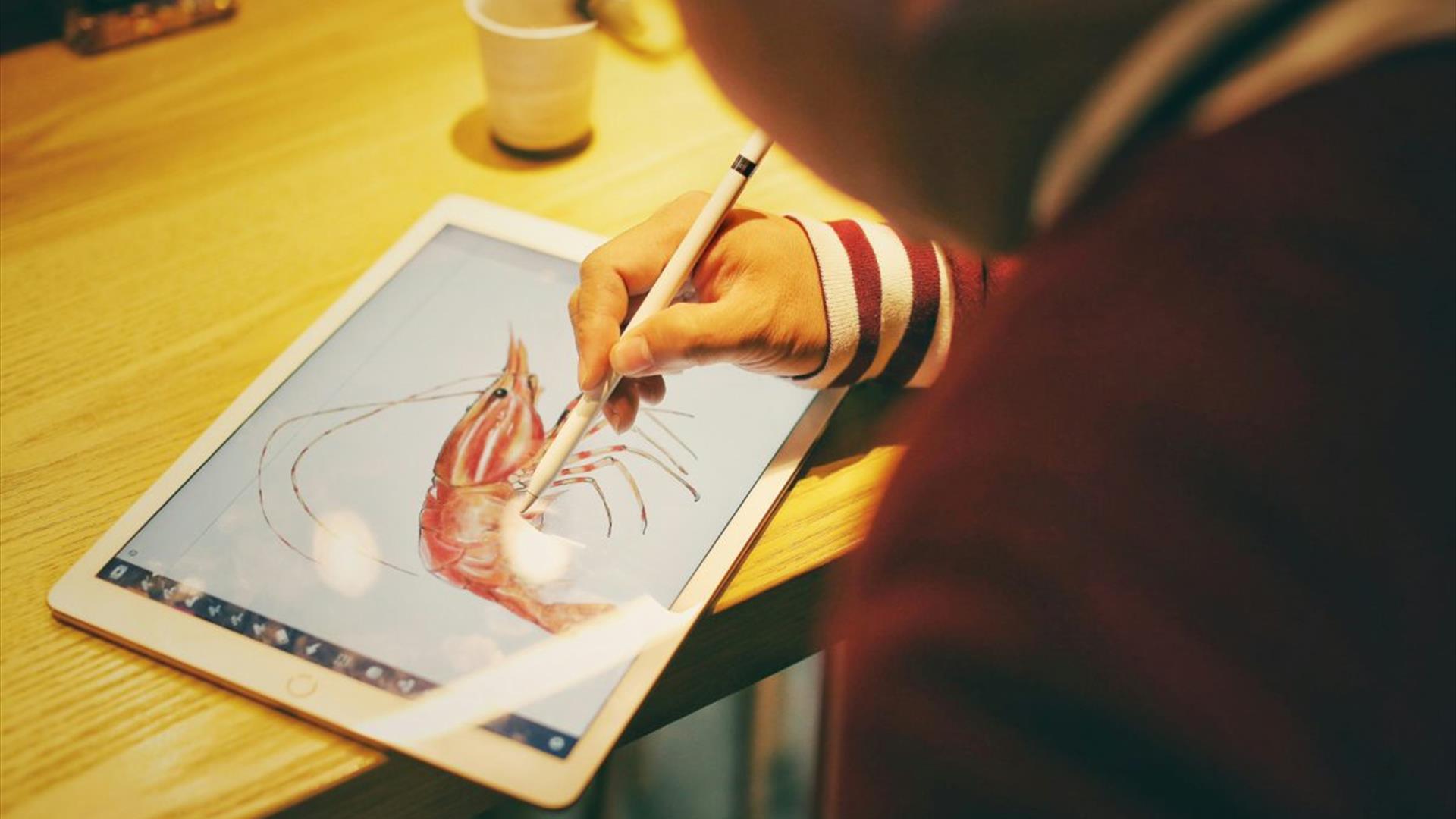 close up of an ipad with person's hands using a digital pen to draw a shrimp close up of an ipad with person's hands using a digital pen to draw a shrimp