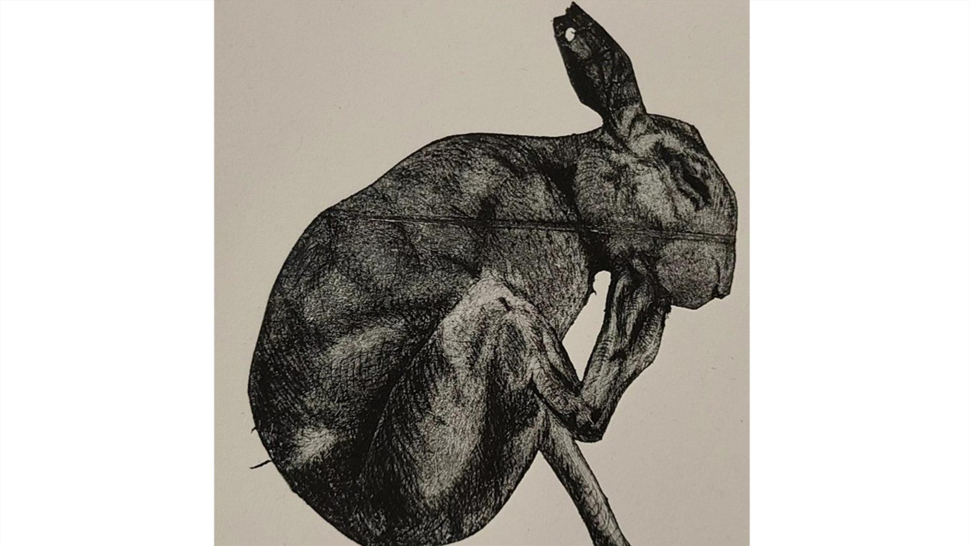 a monoprint illustration of an Irish hare in black ink against a monoprint illustration of an Irish hare in black ink against