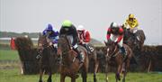 Group of racehorses and jockeys pictured as they jump over large hedge