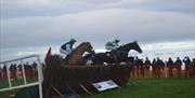 Two racehorses with jockeys pictured jumping a hedge with spectators in the background