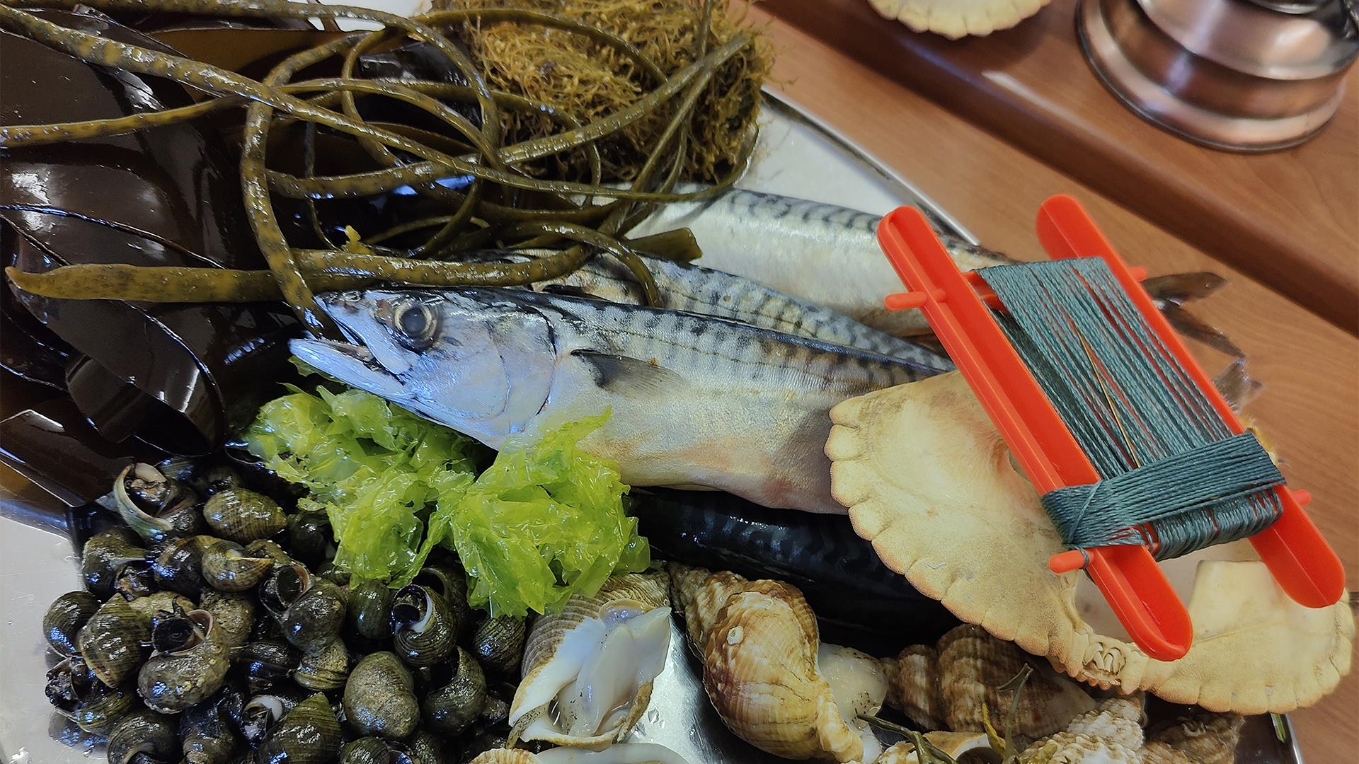 a plate of fresh seawood, kelp, foraged seaweeds and shells
