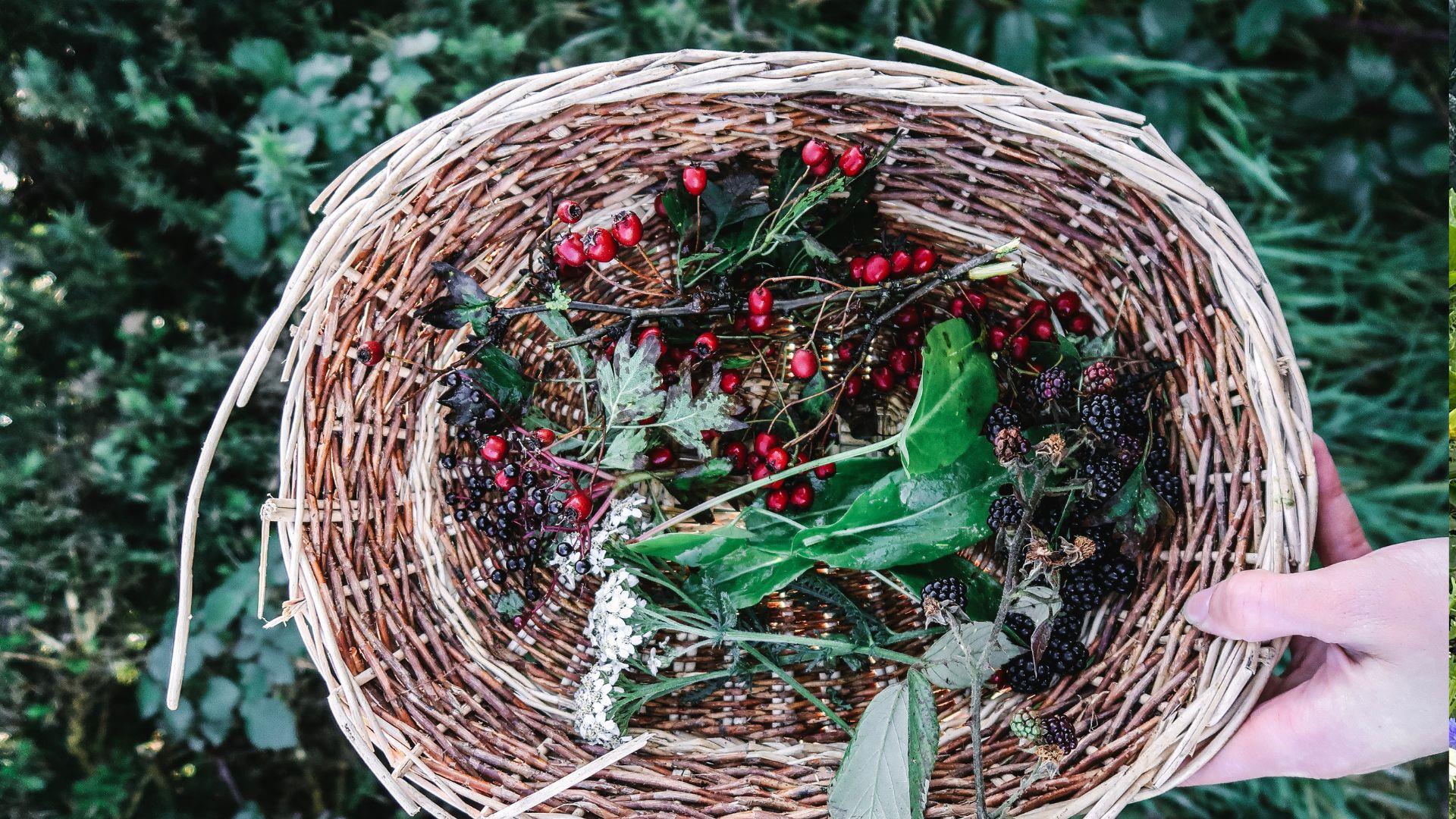 wild berries in a woven basket