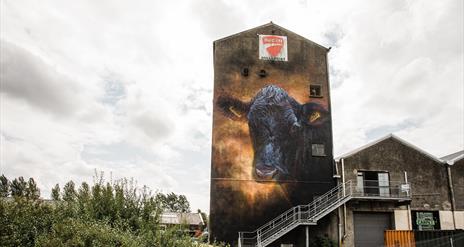 mural of a black cow on the side of a tall building
