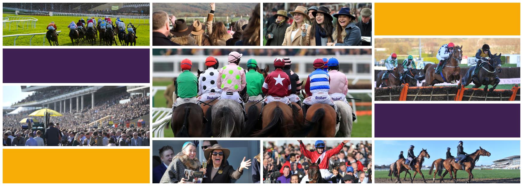 Cheltenham Festival - Race Week Cheltenham highlights