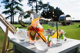 Pimms on the Ellenborough Park lawn