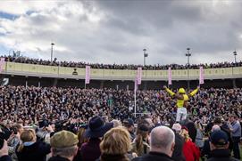 Cheltenham Festival crowds in the parade ring