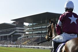 Jockey at Cheltenham Racecourse