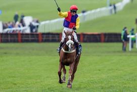 The Cheltenham Gold Cup