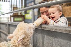 Young boy bottle feeding lamb