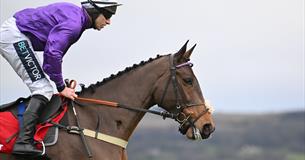 The Christmas Meeting at Cheltenham Racecourse 