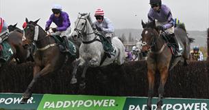 The November Meeting at Cheltenham Racecourse 