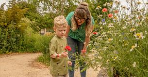 A boy and his mum stand in a wildlife area at Cotswold Farm Park looking at a red poppy 