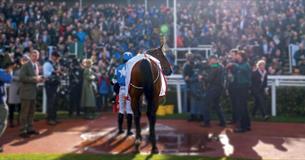 New Year's Day Racing at Cheltenham Racecourse