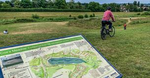 Cox's meadow Cheltenham