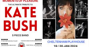 Image of Kate Bush tribute act performers 