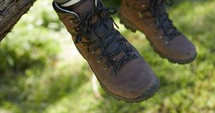 Pair of walking boots
