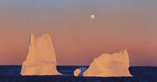 Arctic Visions