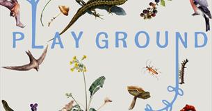 A graphic of bugs and animals surrounding the word Play Ground