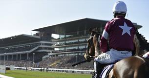 Jockey at Cheltenham Racecourse