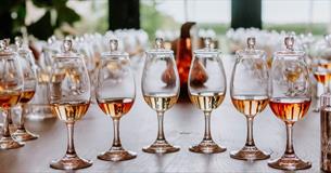 Wine glasses