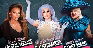 Krystal Versace, Blu Hydrangea,Danny Beard