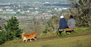 People sat on a bench with a dog on Leckhampton Hill and Charlton Kings Common in Cheltenham.