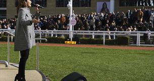 Live music at The Cheltenham Festival
