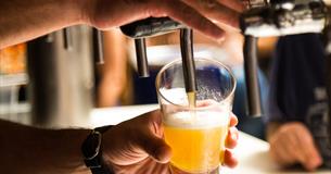 Pint being pulled