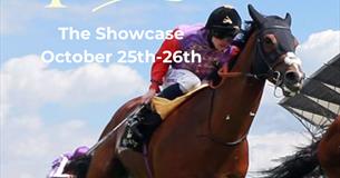 Tailors - The Showcase with image of horse racing
