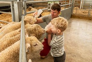 Bottle feeding at Cotswold Farm Park