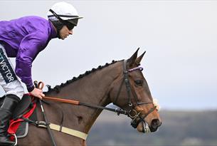 The Christmas Meeting at Cheltenham Racecourse